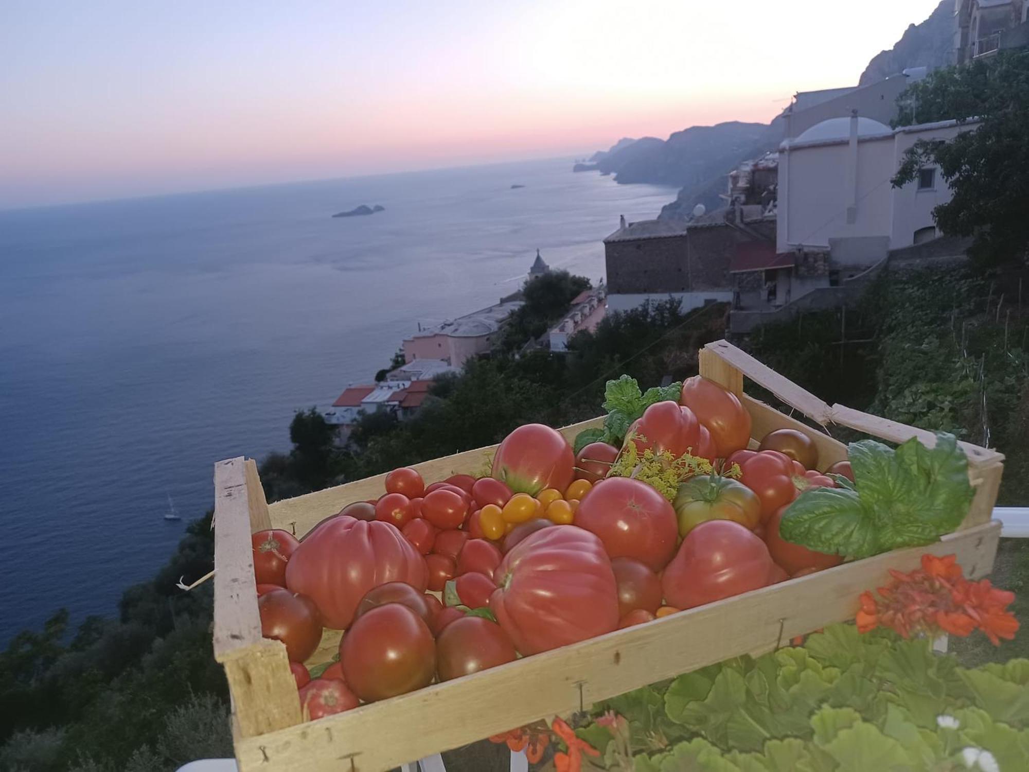 Villa Antica Macina Positano Exterior foto
