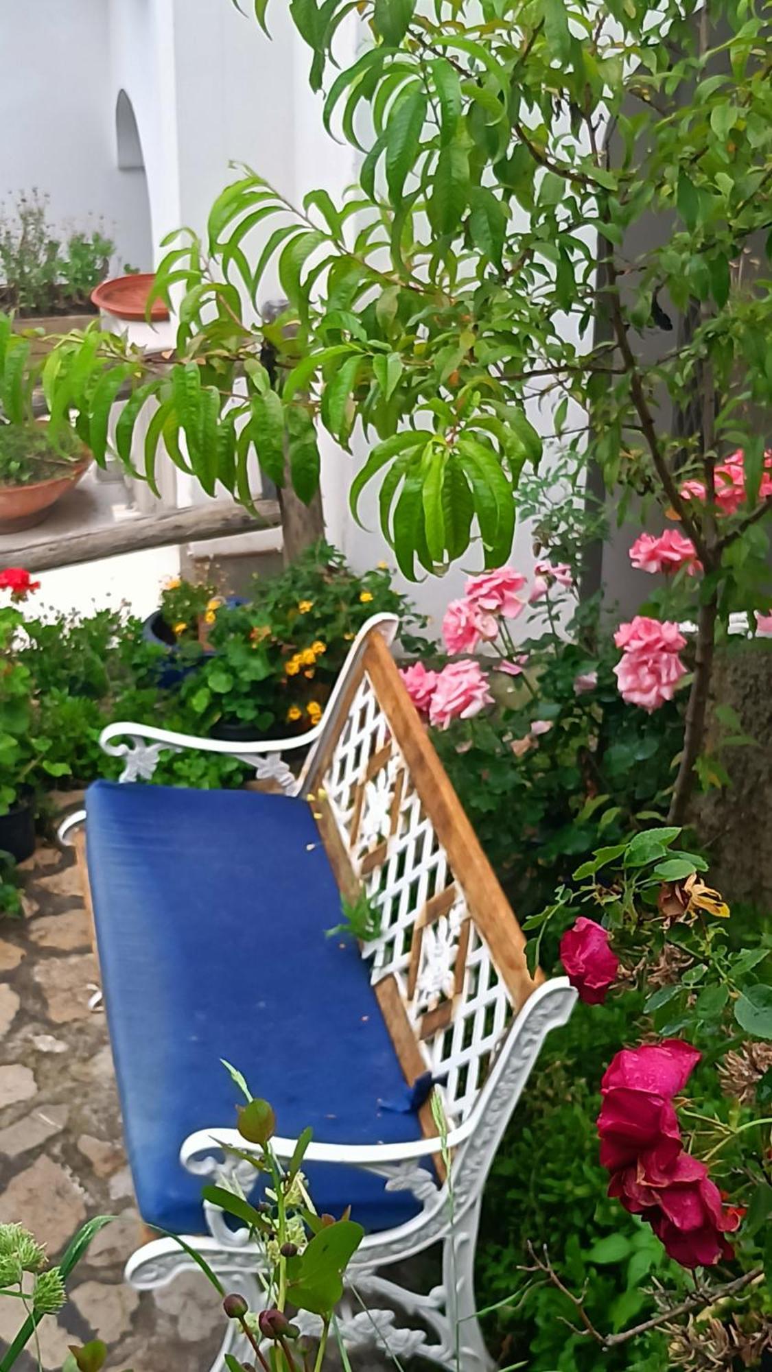 Villa Antica Macina Positano Exterior foto