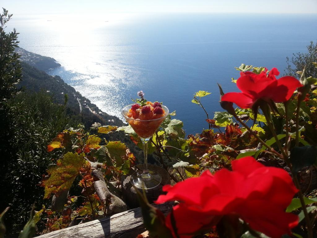 Villa Antica Macina Positano Exterior foto